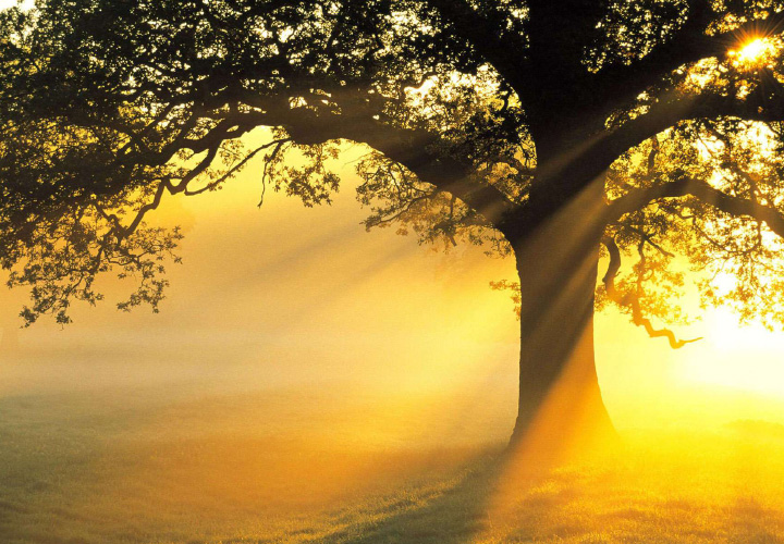 Hope