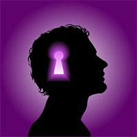 articles the new you